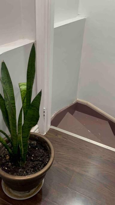 ミルトンBernie'S Basementアパートメント エクステリア 写真