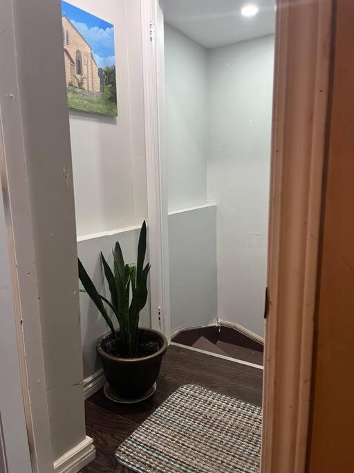 ミルトンBernie'S Basementアパートメント エクステリア 写真