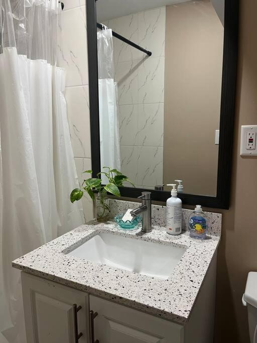 ミルトンBernie'S Basementアパートメント エクステリア 写真